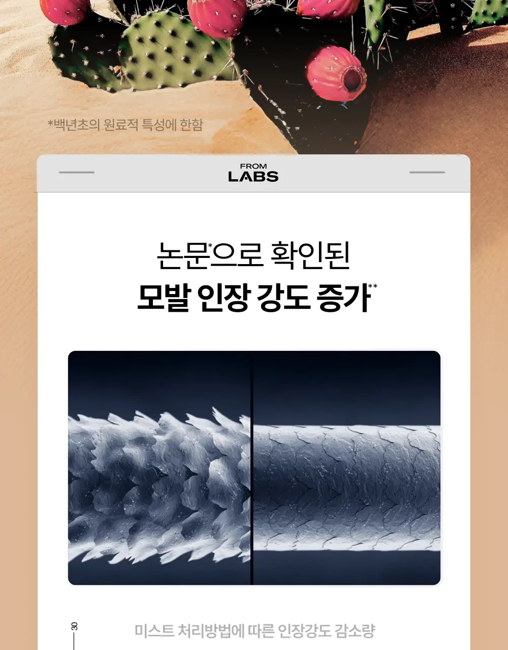 [100시간 지속] 프롬랩스 초고함량 단백질 흡착 부스터 파우더 2g*8ea 상세페이지 35